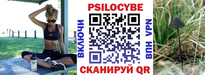 Галлюциногенные грибы Magic Shrooms Санкт-Петербург
